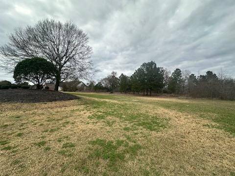 Montgomery, TX 77316,9211 Grand Lake Estates DR