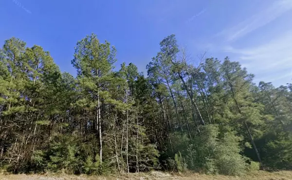 New Waverly, TX 77358,157 Rock Ranch DR