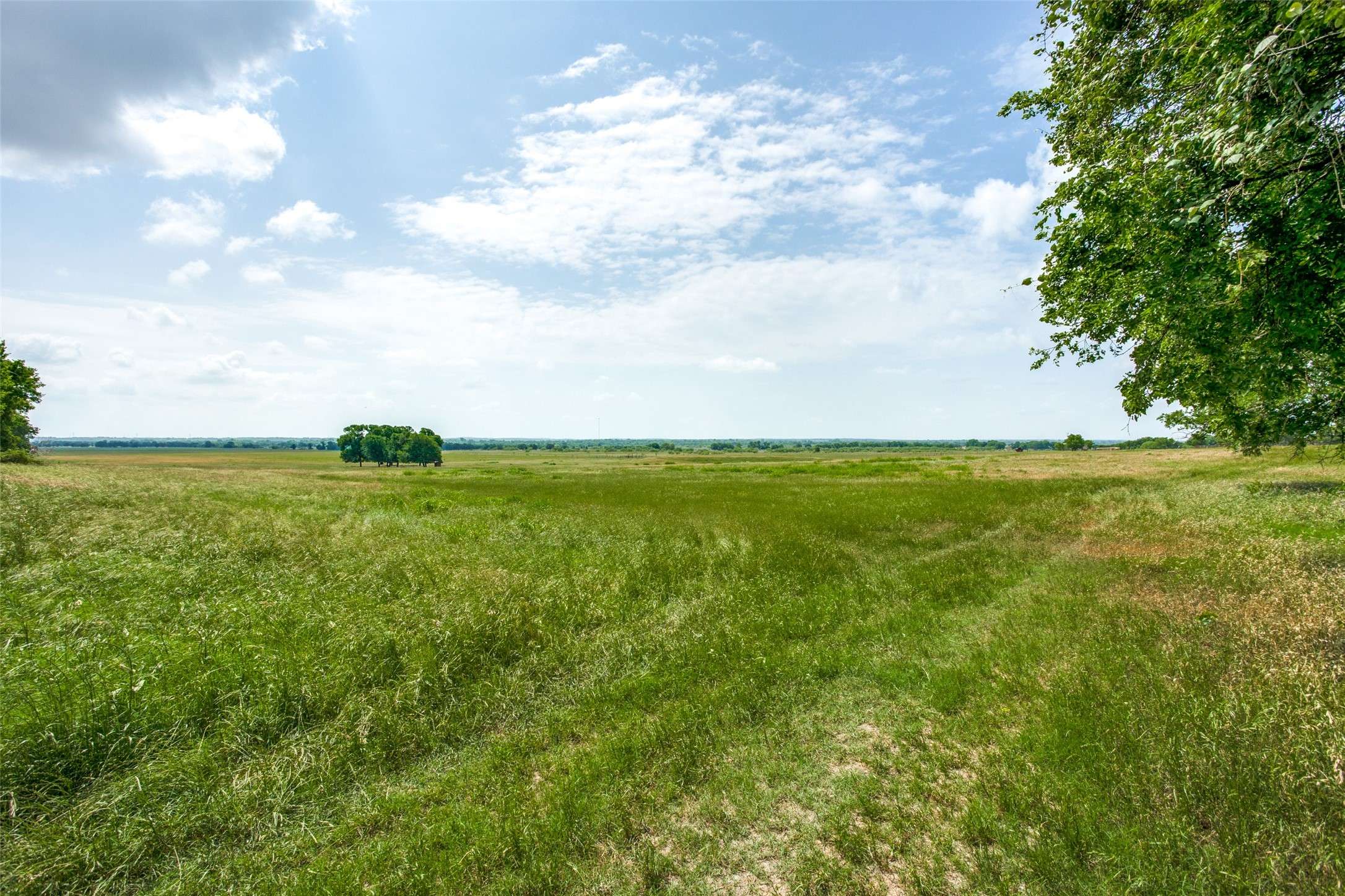 Thorndale, TX 76577,000 County Road 432