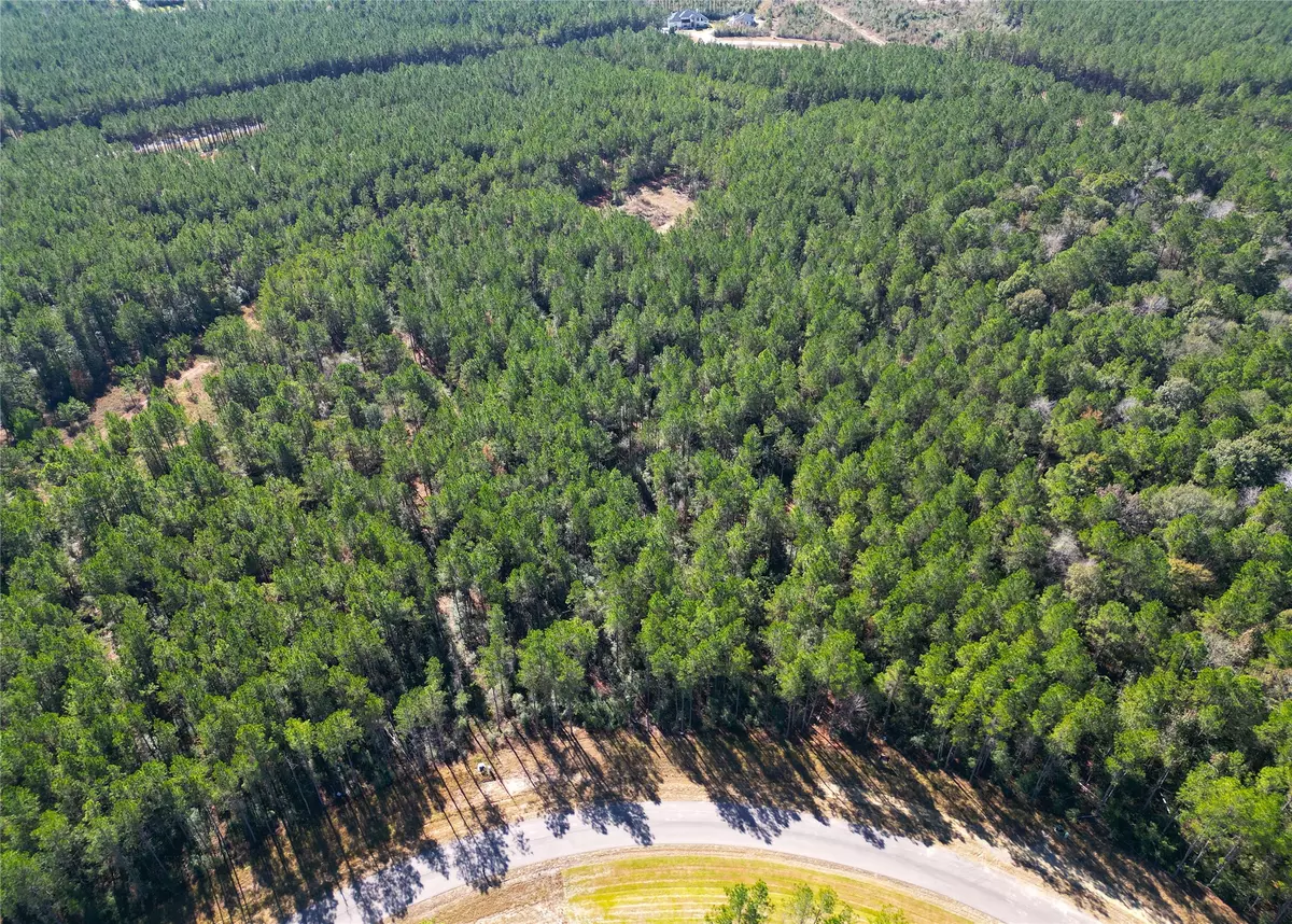 Willis, TX 77378,16235 Golden Wood CT