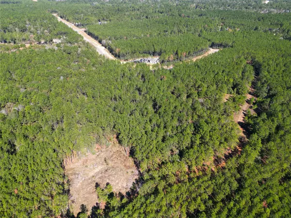 Willis, TX 77378,16235 Golden Wood CT