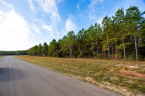 16320 Ridge Oak RD, Willis, TX 77378