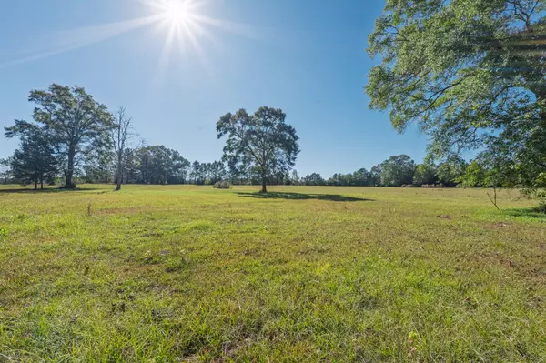 Warren, TX 77664,TBD County Road 1520