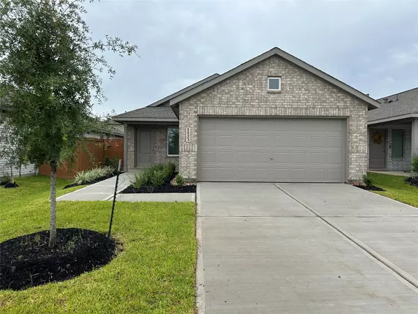 1110 Rustic Willow DR, Beasley, TX 77417