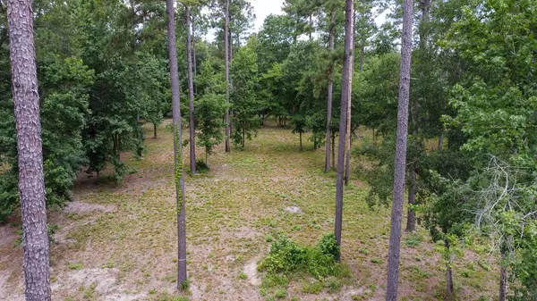 Point Blank, TX 77364,3645 Felix Currie