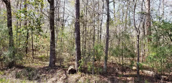 Beaumont, TX 77713,0 Pine Haven St