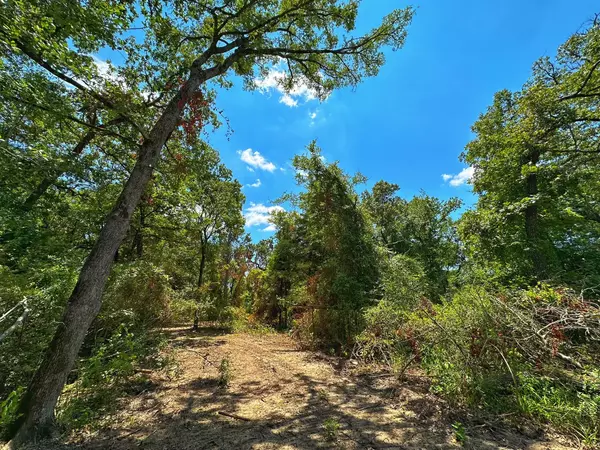 Buffalo, TX 75831,5 ac CR 302