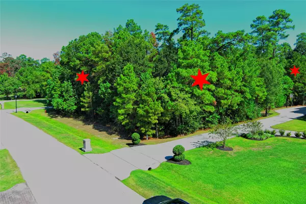 Spring, TX 77386,5603 White Birch RUN