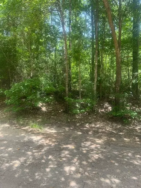 Coldspring, TX 77331,Lot 437 & 438 Hidden Circle