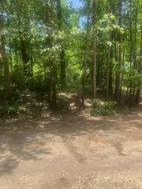 Coldspring, TX 77331,Lot 437 & 438 Hidden Circle