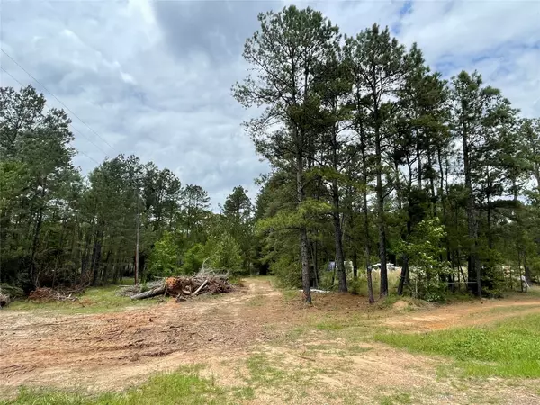 Willis, TX 77378,000 Fm 3081