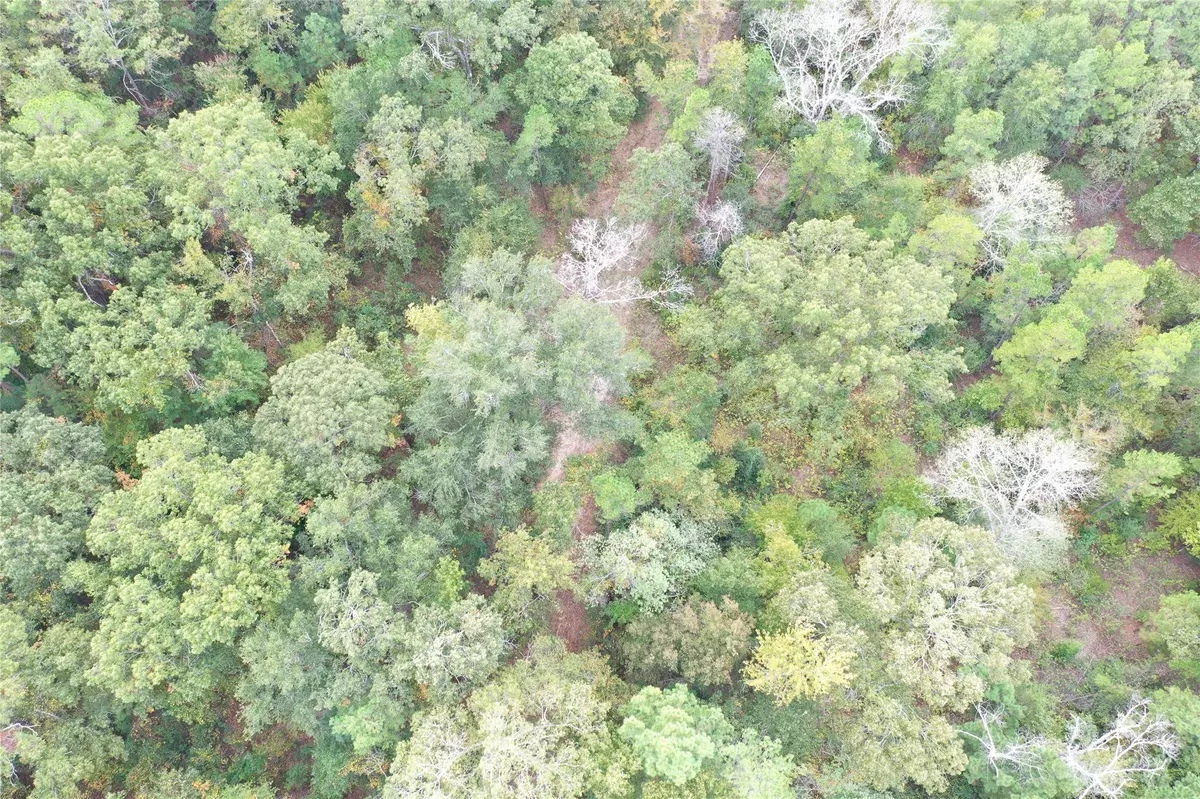 Elkhart, TX 75839,TBD An County Road 100