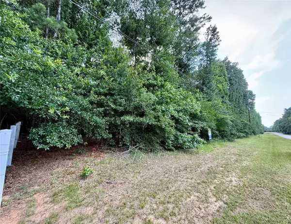 Magnolia, TX 77354,207 Creekside