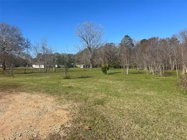 Livingston, TX 77351,TBD Center ST