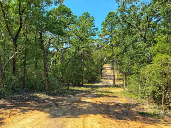 Buffalo, TX 75831,11 ac CR 292