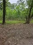Huffman, TX 77336,00 Twilight LN