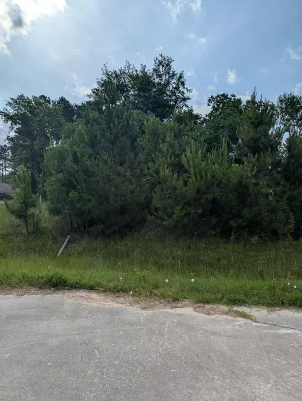 Cleveland, TX 77327,154 County Road 5008