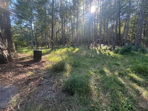 019 Dagger DR N, Brookeland, TX 75931