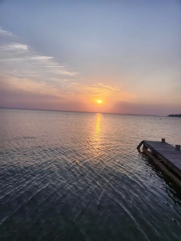 Livingston, TX 77351,00 Palmetto Drive