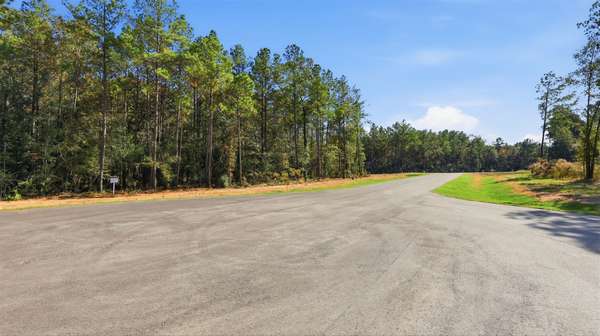 25219 Chisos BND, Montgomery, TX 77316