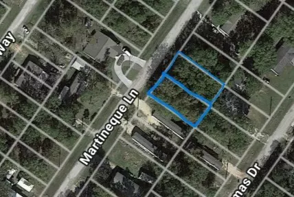 147 Martineque LN, Point Blank, TX 77364