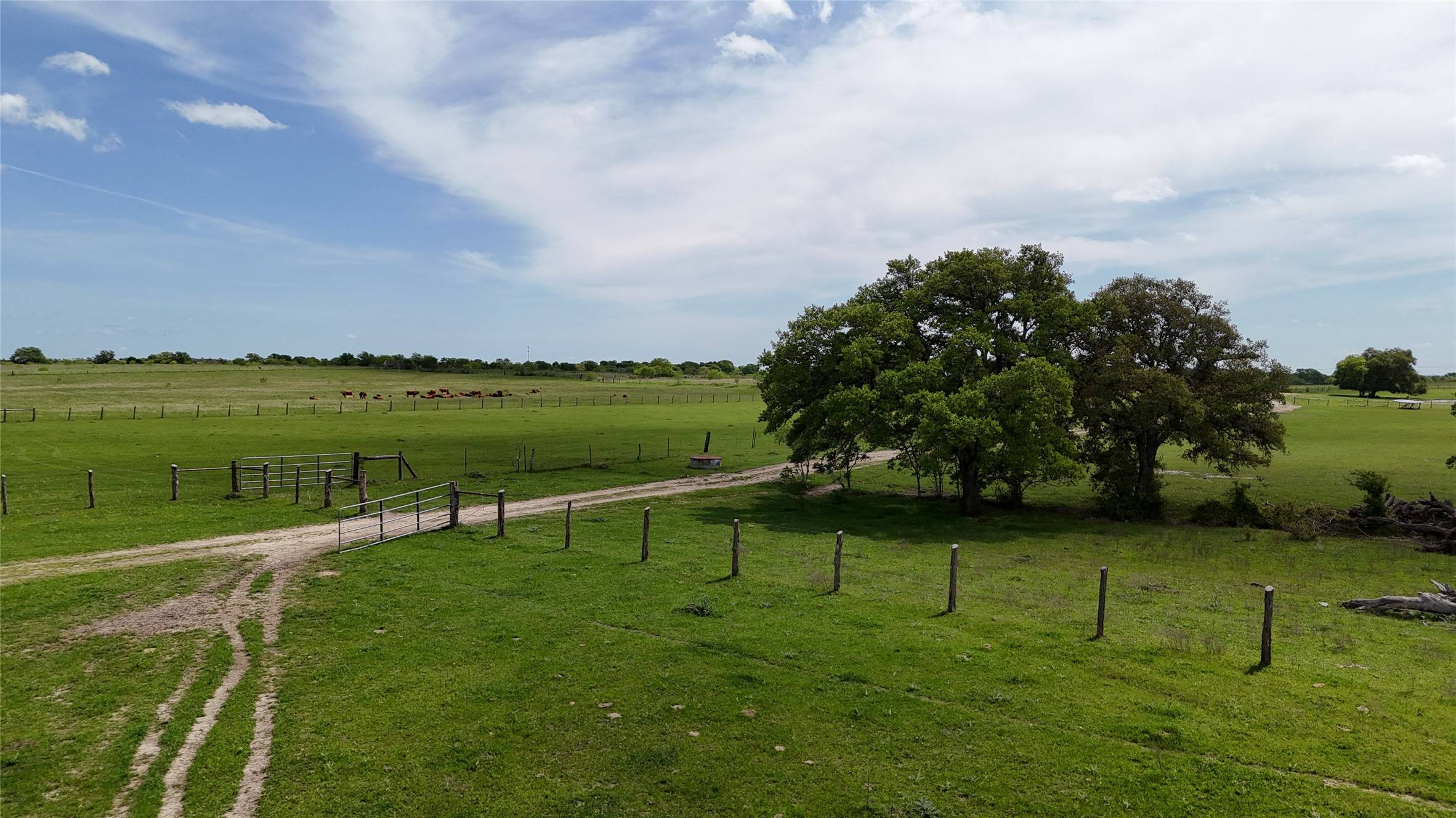 Somerville, TX 77879,TBD County Road 408