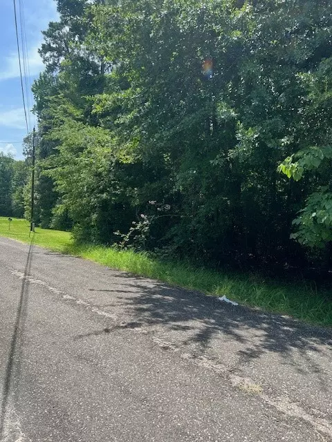 Livingston, TX 77351,Lot 13 & 14 Big Lake DR