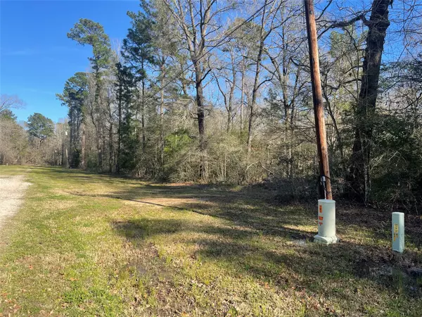 Livingston, TX 77351,TBD Curran