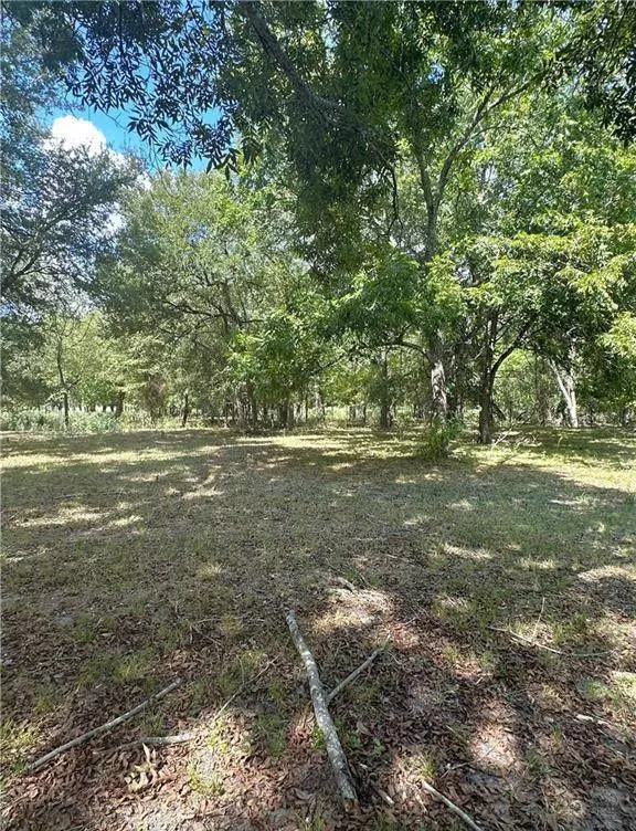 Bremond, TX 76629,853 County Road 206