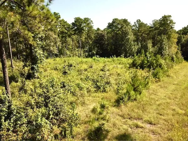 Colmesneil, TX 75938,000 Summit Trace Turpentine DR