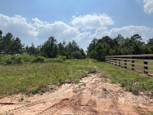 0004 SH 249, Navasota, TX 77868