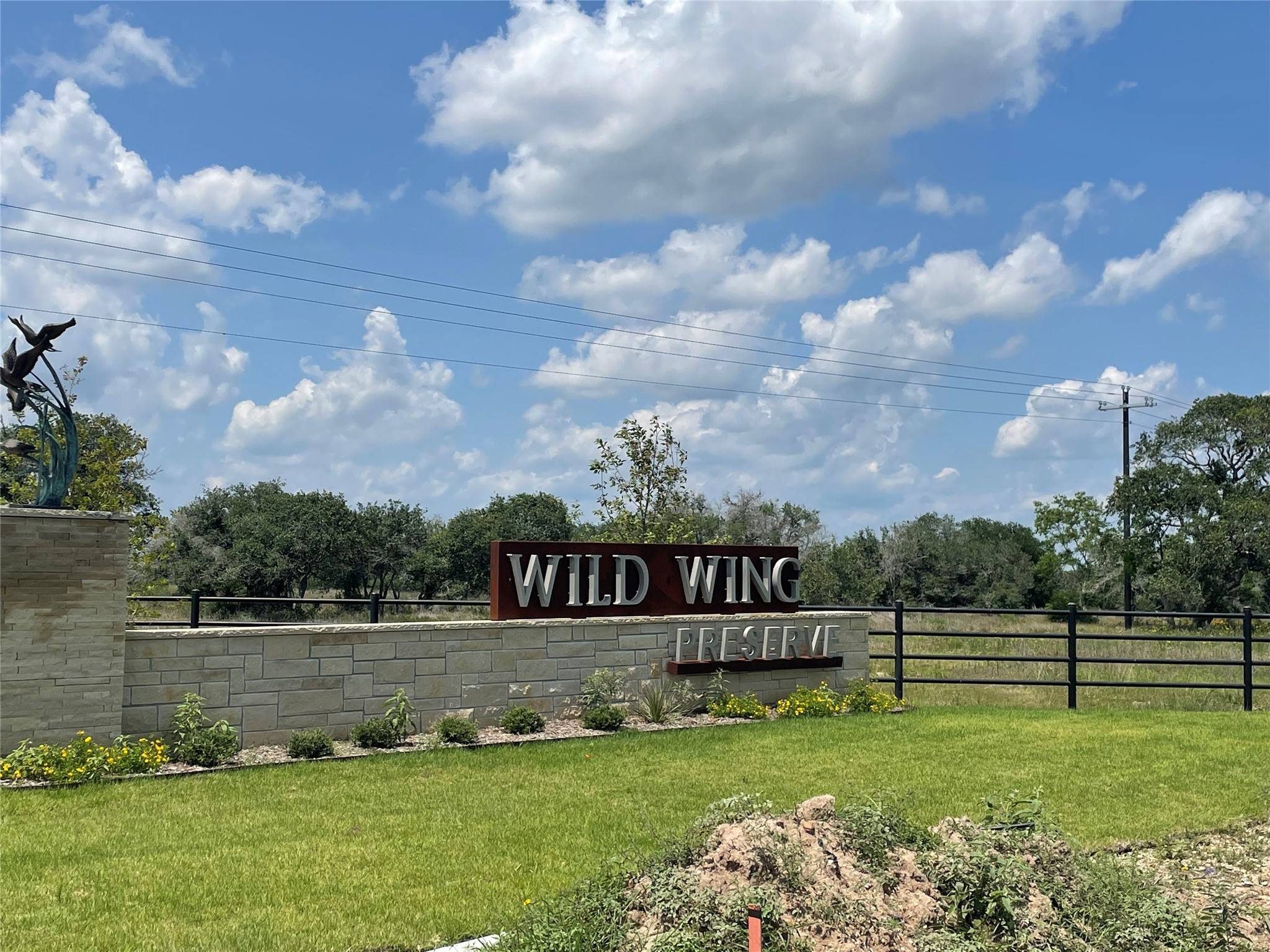Columbus, TX 78934,102 Lot 102 Pintail Lane