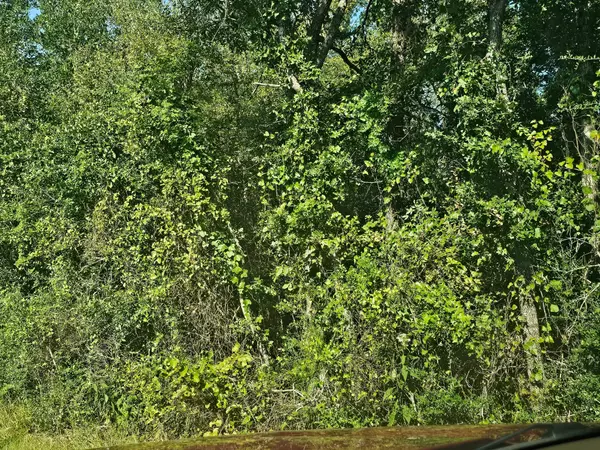 Huntsville, TX 77320,TBD WoodFarm RD