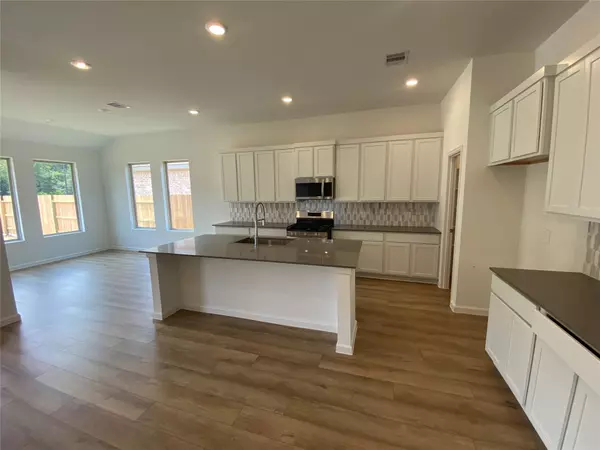 Conroe, TX 77302,17879 Aile Pierre PASS