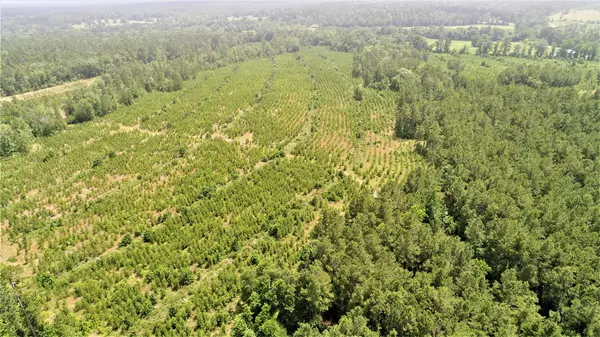 Kennard, TX 75847,TBD CR 1095