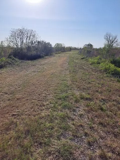 Devers, TX 77538,TBD Tx-61 Estate