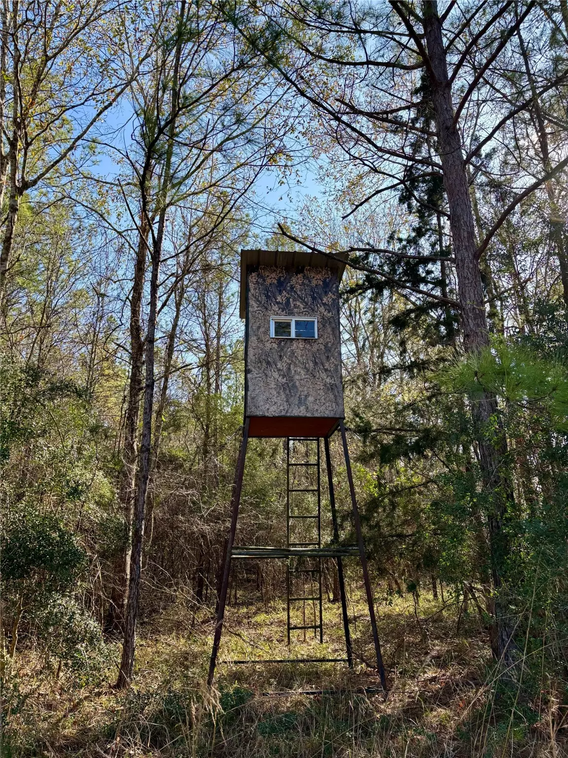 Woodville, TX 75979,TBD 20+/- Acres HWY 190 East