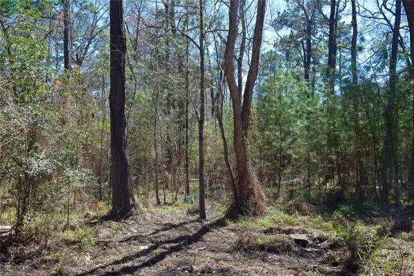 Houston, TX 77345,4658 Dunnam PL