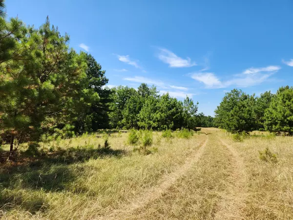 Flint, TX 75762,14192 County Road 1131