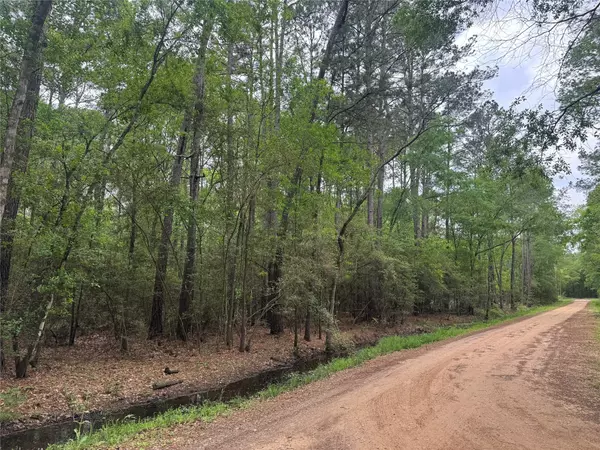 Plantersville, TX 77363,15800 Largent DR