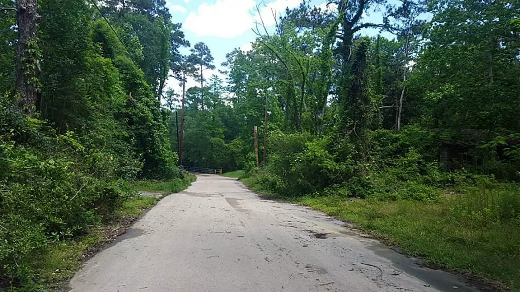 114 Dogwood LN, Houston, TX 77365