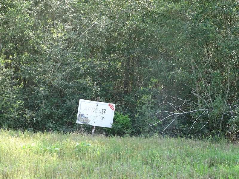 10774 Ruger RD, Willis, TX 77378