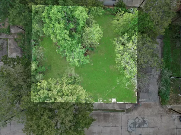 Houston, TX 77004,3350 Holman ST