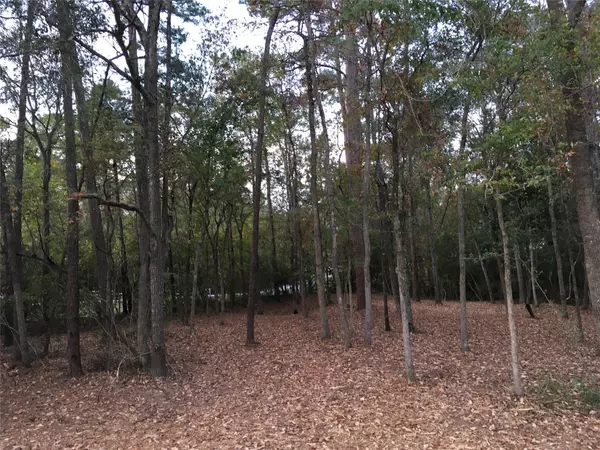 Conroe, TX 77304,1930 Autumn Ridge Drive DR