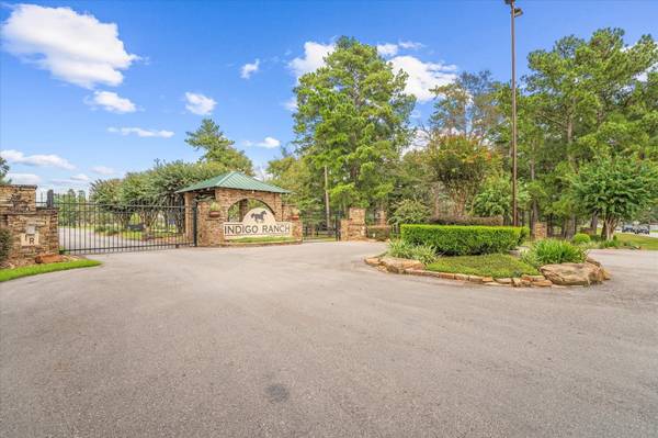 17835 Indigo Hills DR, Magnolia, TX 77355