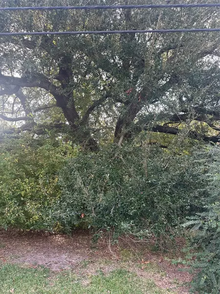 8711 N Garden DR, Beaumont, TX 77705