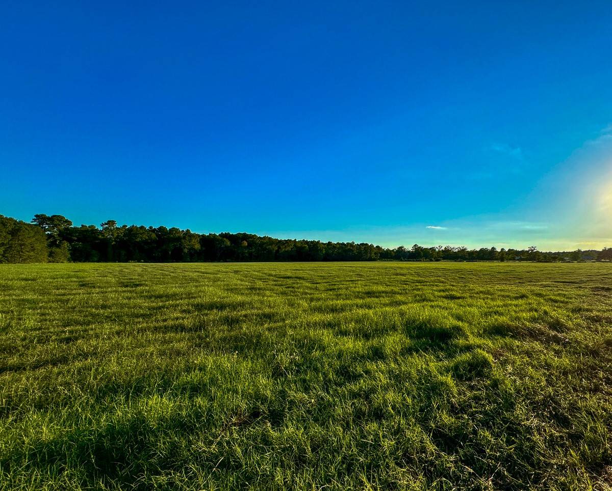 Richards, TX 77873,5 Hoke Road
