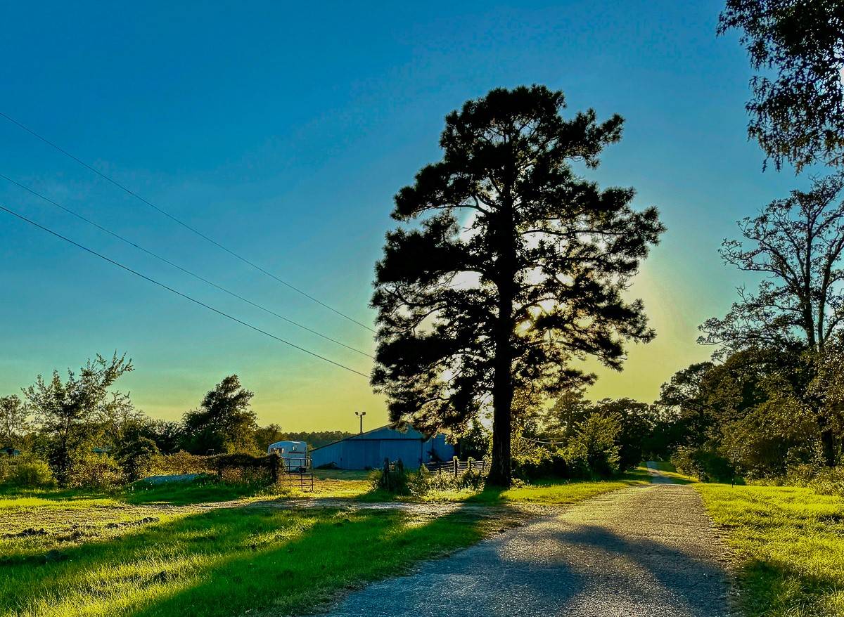 Richards, TX 77873,5 Hoke Road