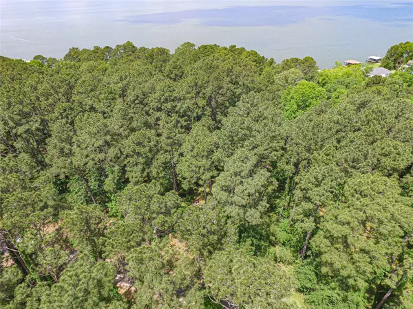 Livingston, TX 77351,TBD Cedar Lane