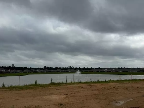 Conroe, TX 77302,16635 Willow Forest DR